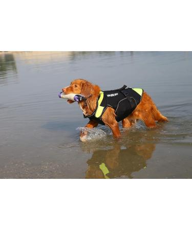 Julius-K9 Treat Tube Dummy 20 cm - Floatable & Fillable - Premium Dog Training Tool | International Shipping - Buy Online on GoSupps.com