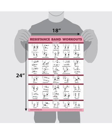 Resistance Bands & Loops Workout Posters 2 Pack - Laminated Exercise Charts - Light 18x24 - Buy Online on GoSupps.com