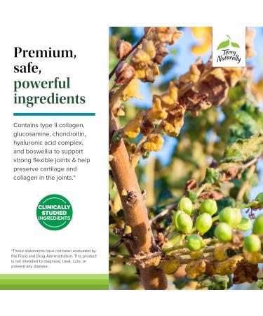 Terry Naturally Be Mobile - Collagen Supplement for Joint Health Support - Dietary Supplement with Boswellia Extract & Type II Collagen - Lower Back & Knee Support Supplement - 60 Capsules - Buy Online on GoSupps.com