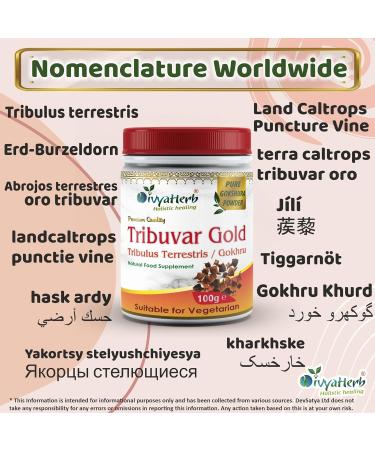 Tribuvar Gold Powder (Gokhru-Gokshura) - Natural Testosterone Booster - Buy Online on GoSupps.com