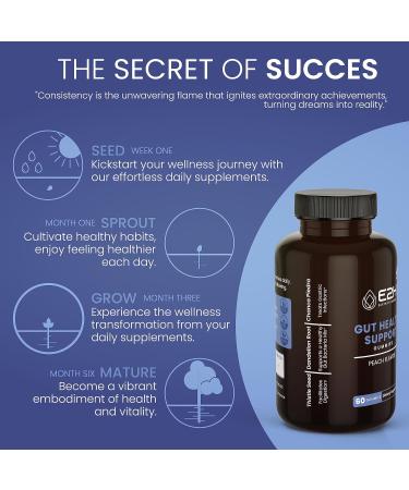 E2H Gut Support Gummies - 60 Count | Vegan Gelatin-Free Gluten-Free & Non-GMO - Boost Digestive Health Internationally - Buy Online on GoSupps.com