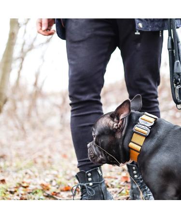 Made to ROAM Oregon Haze Size 4 Premium Dog Collar - Heavy Duty Nylon with Metal Buckle - Buy Online on GoSupps.com