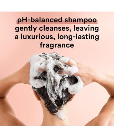 Suave Professionals Coconut Oil Damage Repair Shampoo + Conditioner 28 fl oz - Pack of 4 - Buy Online on GoSupps.com