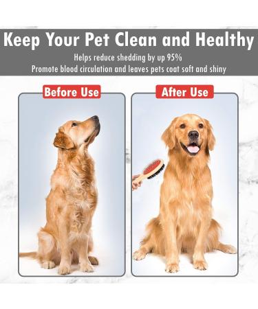 Dog Brush Double Sided Wooden Dog Brushes for Grooming Messaging & Cleaning 2 in 1 Pin & Bristle Soft Pet Hair Brush for Dogs & Cat Long or Short Haired-Model 3021 - Buy Online on GoSupps.com