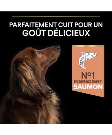 PURINA PRO PLAN | Small & Mini Adult 1+ Sensitive Skin | Rich in Salmon | Dry Food | Dog | 7kg Bag - Buy Online on GoSupps.com