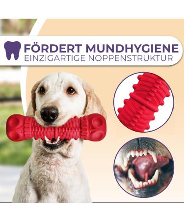 Samnis Indestructible Red Kielzeug Dog Toy - Premium Natural Rubber Squeaky & Robust for Medium & Large Dogs - Buy Now! - Buy Online on GoSupps.com