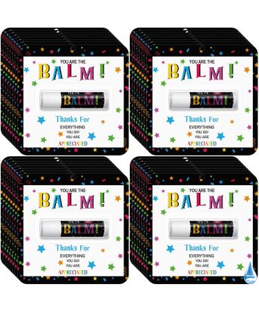 30 Pack Employee Appreciation Gifts Bulk Lip Balms Thank You Gift for Staff Team Teachers Volunteers You re the Balm Mini Lip Balm for Office Events and Appreciation Favors (Original Flavor) You're the Balm Original Flavor