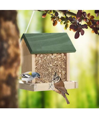 Buy Paul s M hle Sunflower Peanut Mix 10kg - Premium Seed Blend for Birds | International Shipping Available - Buy Online on GoSupps.com