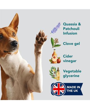 The Healthy Dog Co Natural Itchy Dog Skin Relief Spray 250ml - Soothes Itchy Skin, Wounds, Biting & Scratching - Cat Itch Relief Included - Buy Online on GoSupps.com