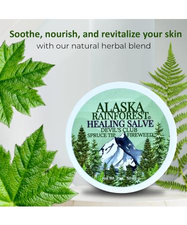 Alaska Rainforest Salve - Herbal Skin & Joint Relief | Natural Super Salve with Alaskan Devil s Club Oil - Soothing Body & Hand Moisturizer - Buy Online on GoSupps.com