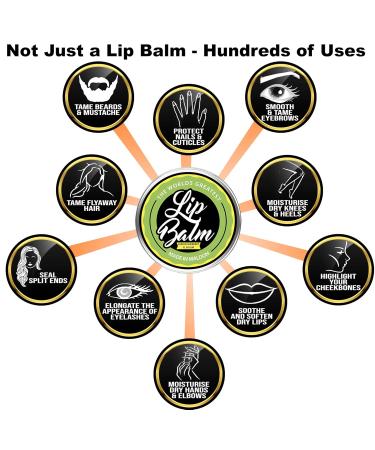 World's Greatest Lip Balm - Repair & Moisturize | Lemon Sherbet Flavor | 15ml with Shea Butter Beeswax & Jojoba Oil - International Shipping - Buy Online on GoSupps.com