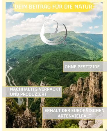 Organic Fennel Essential Oil 10ml - Wild Growth Fennel Seed Oil from Bulgaria | Premium Foeniculum Vulgare Oil - Buy Online on GoSupps.com