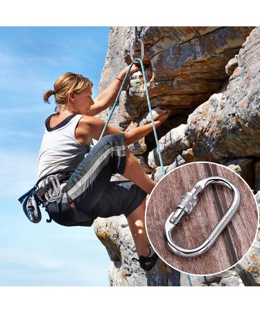 25kn/5600lbs Heavy Duty Screwgate Carabiner Clip for Climbing, Rigging, Ropes, Hammocks - O Shape (2 Pack) - Buy Online on GoSupps.com