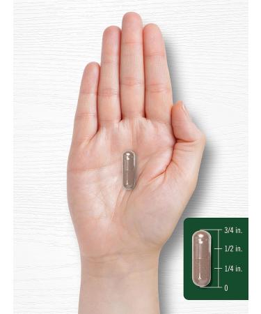 Carlyle Maitake Mushroom Capsules 1600mg 400 Count - Non-GMO & Gluten Free Supplement - Buy Online on GoSupps.com