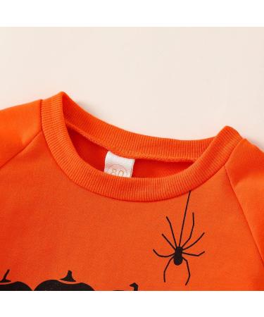 Pumpkin Print Toddler Halloween Sweatshirt | Orange Pullover for Boys and Girls 2-3T - Buy Online on GoSupps.com