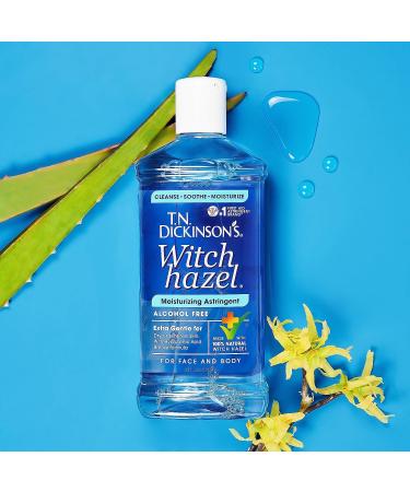 T.N. Dickinson's Witch Hazel Alcohol-Free Moisturizing Astringent 16 oz | 100% Natural Formula - Buy Online on GoSupps.com