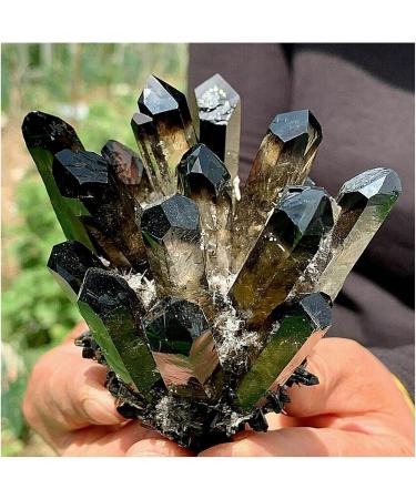 Natural Crystal Rough Crystals 1pc Black Phantom Quartz Crystal Cluster (Size : 600-650g) - Buy Online on GoSupps.com