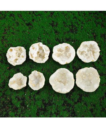 CIMWJOPS Natural Crystal White Agate Druzy Cave Crystal Geode Stone Raw Crystal Cluster 100-150g 1pair - Buy Online on GoSupps.com