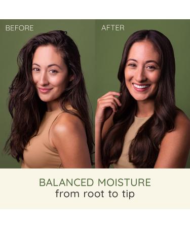 Aveeno Farm-Fresh Oat Milk Conditioner | Sulfate-Free with Colloidal Oatmeal & Almond Milk | Scalp Soothing & Moisturizing | 12 Fl Oz - Buy Online on GoSupps.com