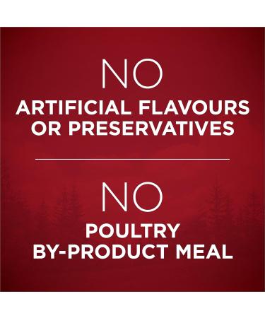 Purina ONE True Instinct High Protein Dry Dog Food Beef & Bison - 6.8 kg Bag 6.8 kg (Pack of 1) - Buy Online on GoSupps.com