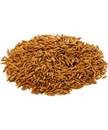 Old India Roasted Indian Cumin Seeds 100g - Authentic Flavor and Aroma - Buy Online on GoSupps.com