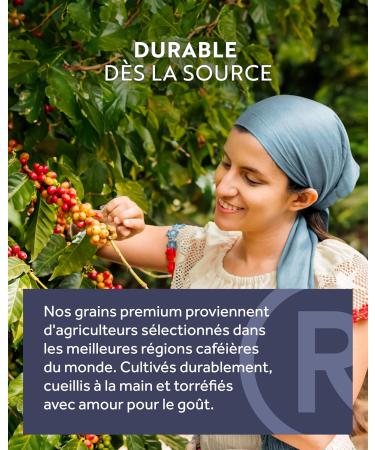 ROSSO CAFF Reserve Edition Capsule Caf 8 Vari t s 80 Capsules Nespresso Compatibles en Aluminium Meilleur Go t & Ar me 100% Recyclable Assortiment (80 pi ces) - Buy Online on GoSupps.com