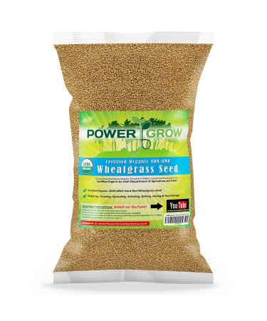 Organic Wheatgrass Seed - Certified USA Hard Red Wheat by PowerGrow (5 Pounds)