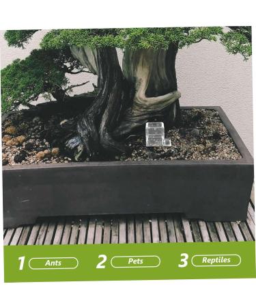 Sosoport 2pcs Pet Water Feeder Ants Water Feeder Ants Watering Cup Ants Waterer Cup Ants Feed Bowl Plastic - Buy Online on GoSupps.com