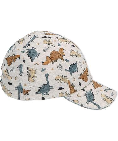 Sterntaler Boys Baseball Cap Dinolo 49 - Silver | Stylish & Durable International Shipping Available - Buy Online on GoSupps.com