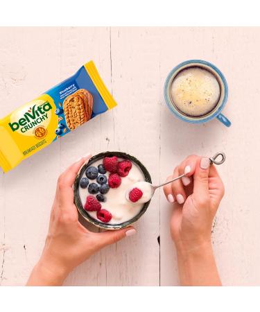 Belvita Blueberry Breakfast Biscuits - 6 Boxes (5 Packs, 4 Biscuits Each) | Healthy Snack - Buy Online on GoSupps.com