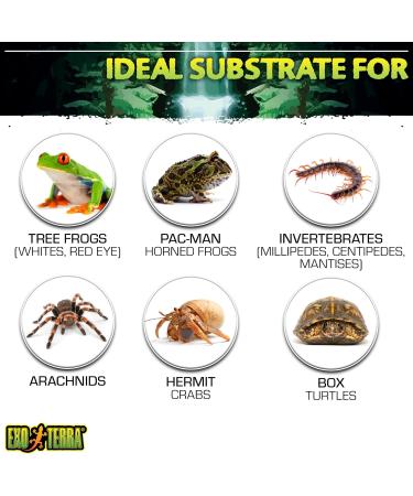 Exo Terra Plantation Soil - Tropical Terrarium Substrate 8.8L Coconut Fiber - Ideal for Reptiles & Plants - Buy Online on GoSupps.com