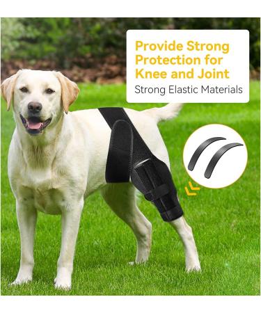 Dog Pet Knee Brace for Support with Cruciate Ligament Injury Joint Pain and Muscle Sore Better Recovery with Dog ACL Knee Brace Adjustable Rear Leg Braces for Dogs Knee Brace (Large) - Buy Online on GoSupps.com