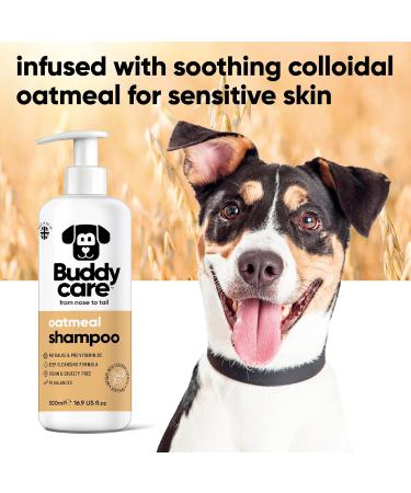 BuddyCares Oatmeal Dog Shampoo - Soothing & Moisturizing for Irritated Skin with Aloe Vera & Pro-Vitamin B5 (500ml x3) - International Shipping Available - Buy Online on GoSupps.com