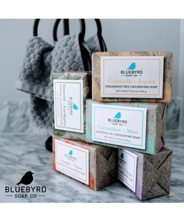 BlueByrd Soap Co. Exfoliating Essential Oil Soap Variety Set - 5-Pack Gift Box with Vegan Bars in Cucumber Mint, Lavender Thyme, Orange Clove, Seaweed Eucalyptus Scents - Buy Online on GoSupps.com