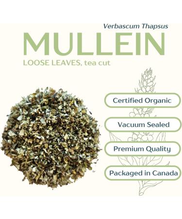 Organic Mullein Leaf 250g Loose Leaves Premium Herbal Tea Caffeine-Free Cut & Sifted Verbascum Thapsus For Tea Smoke Steam Blends | DRAGONFLY HERBS - Buy Online on GoSupps.com