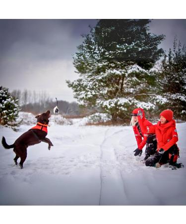 Dingo Gear Soft Ball Dog Toy Set - Real Scar Leather Grip for Puppy Training - 2-Pack 8cm Multi-Colored - Buy Online on GoSupps.com