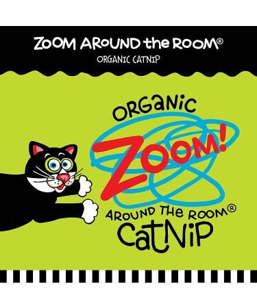 Petmate Fat Cat Boogie Mat Assorted - Interactive Toy for Playful Felines - Buy Online on GoSupps.com