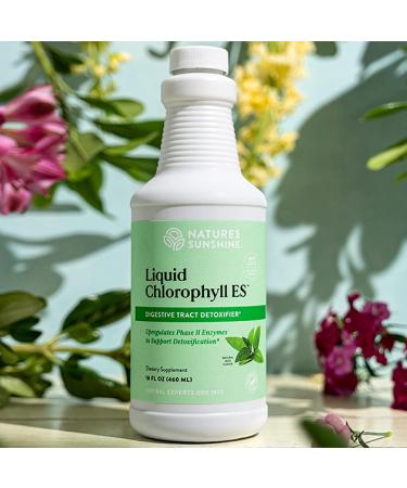 Nature's Sunshine Chlorophyll Liquid Extra Strength 16 fl. oz - Kosher Fresh Mint Chlorophyllin for Detox & Digestive Support - Buy Online on GoSupps.com