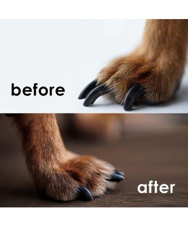 Professional Heavy Duty Dog Nail Clippers with Safety Guard for Small, Medium, and Large Breeds - Painless Nail Trimming with Anti-Slip Handles - Includes Free Nail File - Buy Online on GoSupps.com