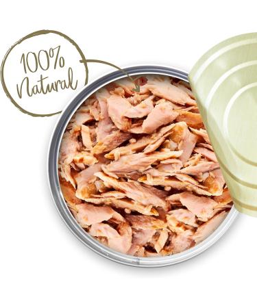 Buy Applaws Cat Tin Tuna Fillet with Salmon in Broth - 24x156g | Premium Cat Food | Ships Worldwide - Buy Online on GoSupps.com