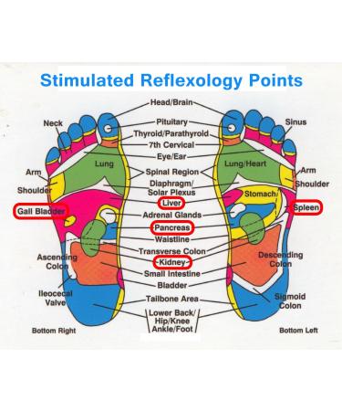 Buy BodyPure2x Deep Cleansing Foot Pads | Bamboo Foot Patches Made in USA | Twice the Potency | Testing Available - Buy Online on GoSupps.com