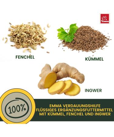 Intestinal Cure Dog Active Herbs Drops I First Aid Digestion - Gastrointestinal Intestinal Flora I Restorative Food - Diarrhea Flatulence I Intestinal Sanitation 30ml - Buy Online on GoSupps.com