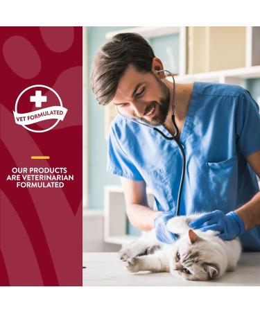 NaturVet Cranberry Relief & Echinacea Cat Soft Chew Cup Healthy Urinary 60ct - Buy Online on GoSupps.com