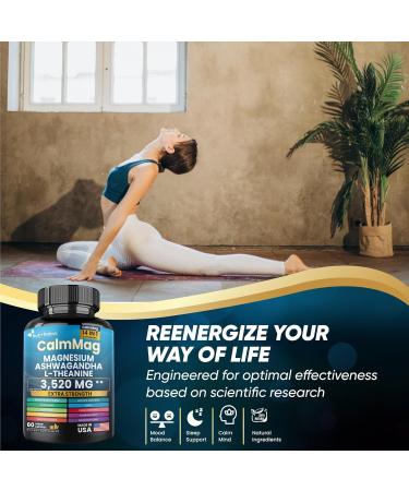 Best Magnesium Glycinate with Ashwagandha and L-Theanine 14 in 1 Supplement 60 Capsules 3 Bottle 1 Count (Pack of 1) - Buy Online on GoSupps.com
