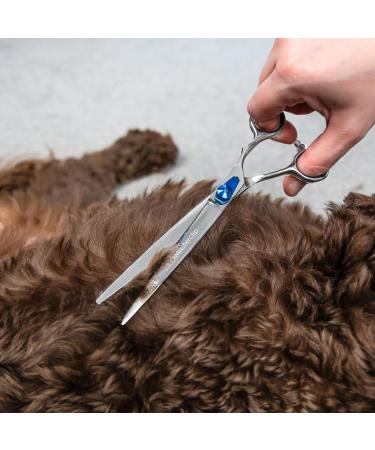Masterclip 7.5 Essentials Finishing Scissors - Professional Grade Stainless Steel Dog Grooming Scissors for Precise Cuts (Right Handed) - Buy Online on GoSupps.com