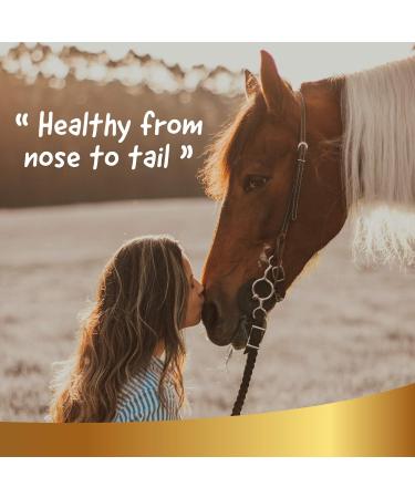 Natural Dry Shampoo for Horses - 500ml | Quick & Effective No-Rinse Cleaning | Suitable for All Manes - Linea 101 - Buy Online on GoSupps.com