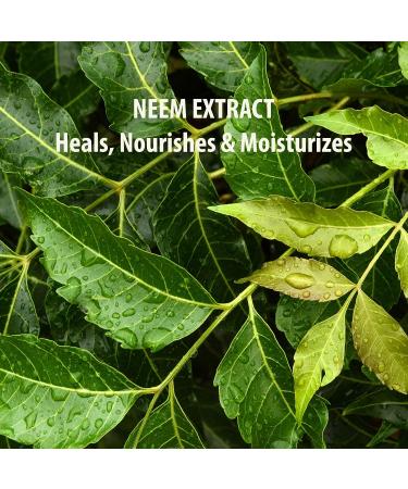 SUND RI Neem Eye Cream - Natural Solution for Brighter Eyes - Buy Online on GoSupps.com
