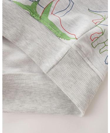 Kids Dinosaur Sweatshirt | Boys Cotton Pullover Jumper | Toddler Girls Casual Top | Long Sleeve T-Shirt for Baby Clothes | 2-3 Years - Buy Online on GoSupps.com
