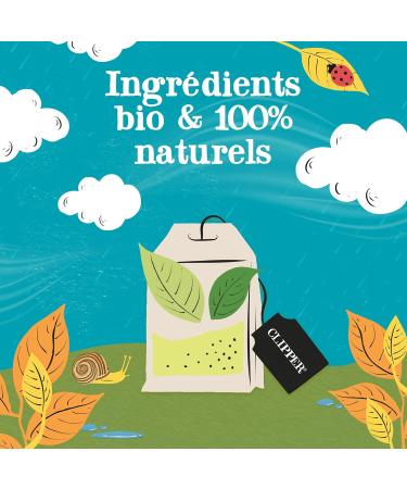 CLIPPER - Organic Green Tea - Delicious - Fair Trade - Large Size - 50 Organic Tea Bags - 1 pack - Buy Online on GoSupps.com