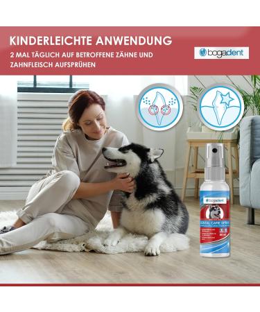 Bogadent Dental Care Spray for Dogs - Tartar & Bad Breath Solution | Best Dog Dental Spray International Shipping - Buy Online on GoSupps.com